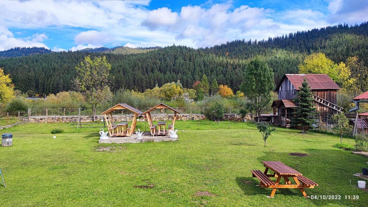 Dariamaf Appartement Câmpulung Moldovenesc Buitenkant foto